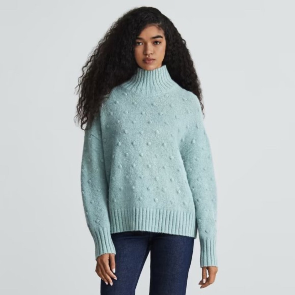 Everlane Light Blue Turtleneck Sweater